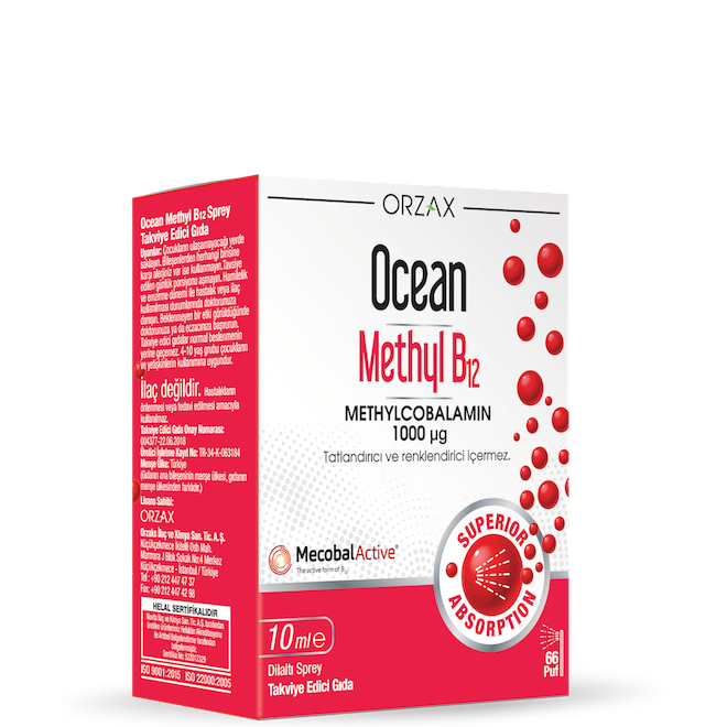 Methyl B12 10 ml Dilaltı Sprey