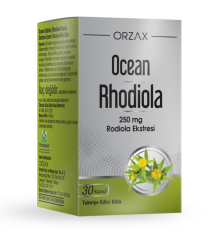 Rhodiola 250 Mg 30 Kapsül